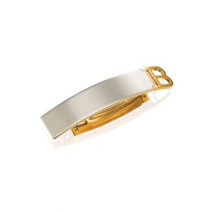 Barrette Pour Cheveux Medium​ Silver/Gold